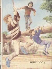 Image of Childraft Your Body Volume 5